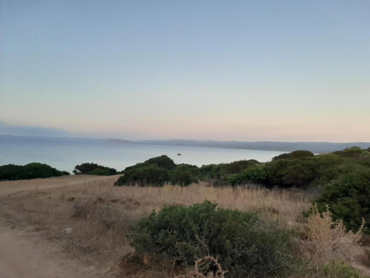 Appartamento Residence Mirice Vignola Mare Aglientu Casa Giorgia Kültér fotó